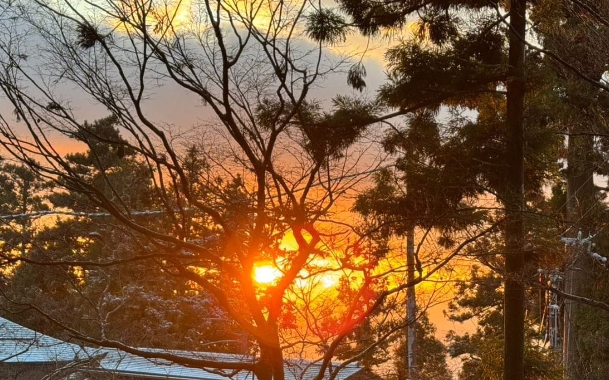 New Year’s Hike to Mount Hiei(比叡山)